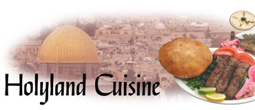 Holyland Cuisine Lincoln Nebraska